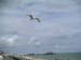 2004_0620_152031AA