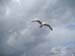 2004_0620_152035AA
