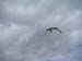 2004_0620_152052AA
