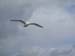 2004_0620_152121AA
