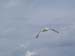 2004_0620_152137AA