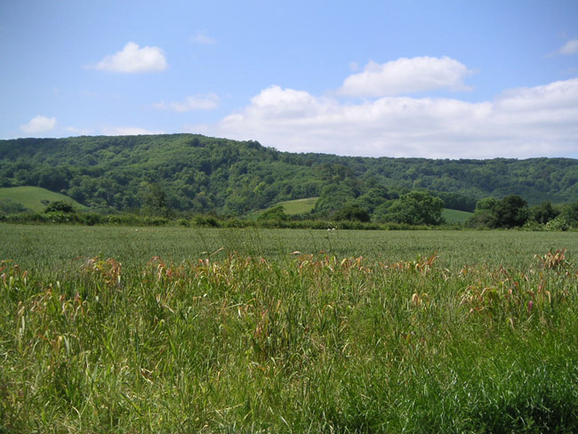 2004_0617_112655AA