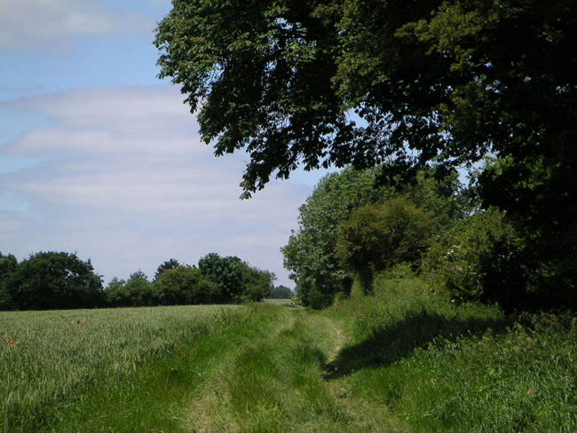 2004_0617_112720AA