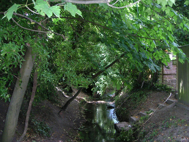 2004_0617_113523AA