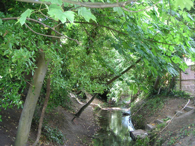 2004_0617_113534AA