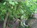 2004_0617_113534AA