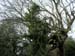 2003_1222_125418AA